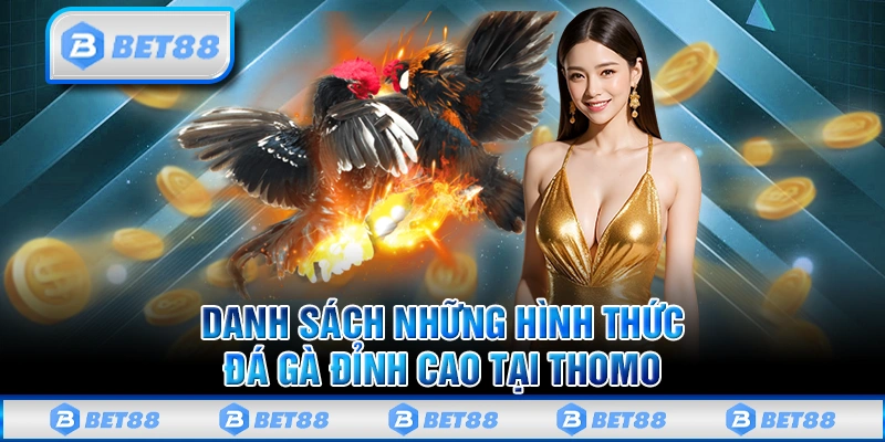 Tổng quan về các loại hình đá gà Thomo thông dụng